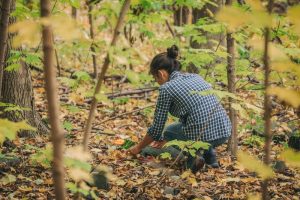 Young People Take-Up New "Jungle Exploration" Craze
