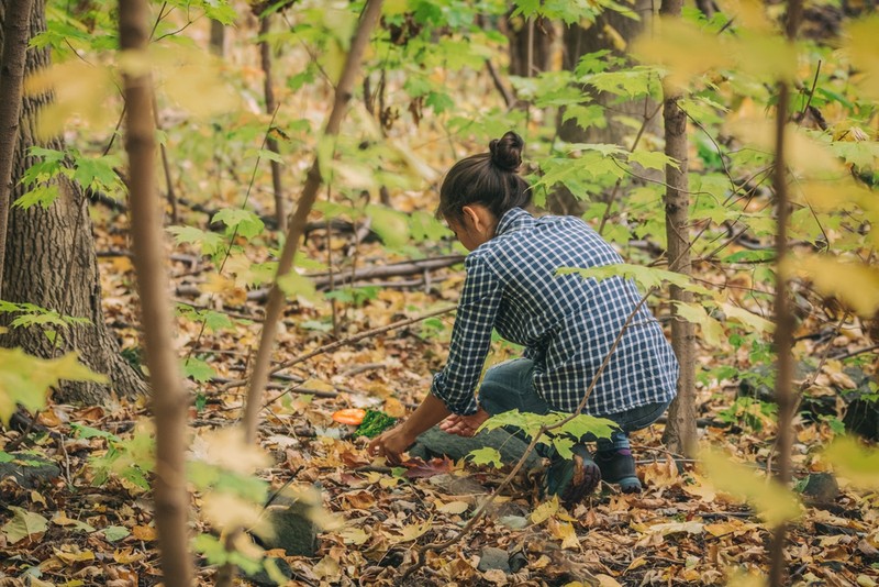 Young People Take-Up New "Jungle Exploration" Craze