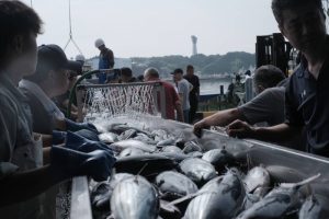 China Partially Lifts Ban on Japanese Seafood Over Fukushima Wastewater