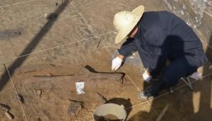 300,000-Year-Old Wooden Artefacts Discovered in Yunnan