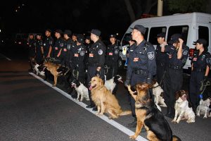 Rescue Dog Finds Missing Man in Yunnan