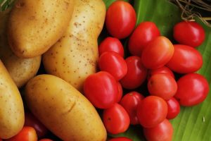 Scientists Discover That Tomato is "Mother" of Potatoes