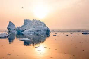 Arctic Life Frozen for Millennia Begins to Awaken
