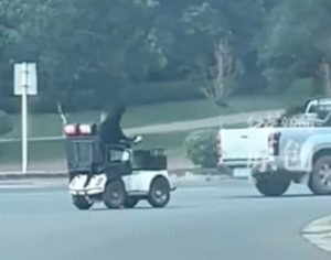 Internet Amazed by Dog Driving Scooter in China