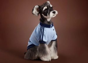 Adidas Reveals Chinese-Style Jacket for Pets