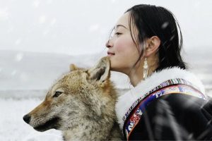 Viral Documentary Sees Crowds Flock to Fragile Habitat of Wolves