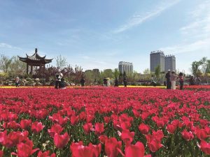 Colour Walks Surge in Popularity for Spring