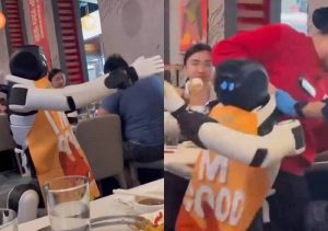 Robot Worker Smashes Dishes After Malfunctioning in Restaurant