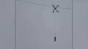 Transporting Pigs with a Drone Causes 10-hour Blackout in Chinese Village