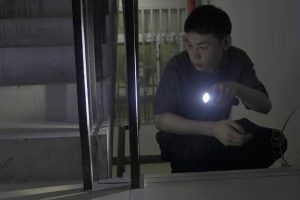 Life as a Pet Detective in China