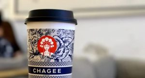 New Wave of Chinese Exports Gain Global Foothold