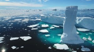 Report Finds Arctic Sea Ice Hits Record Low