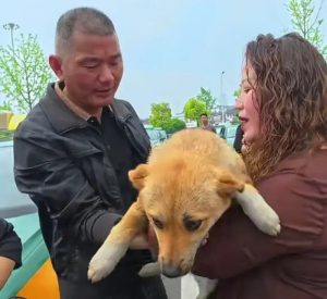 City in Anhui Sees Tourism Boom Thanks to Taxi Drivers Dog Rescue