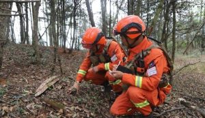 Firefighters Hunt for King Cobras in Yunnan Province