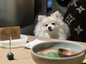Haidilao Cancels Pet-Friendly Dining