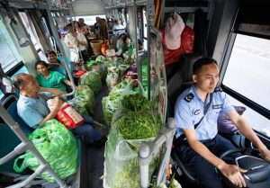 New Bus Service Helps Farmers in Changsha