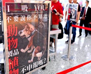 Warning Posters Featuring Dogs at Airport in Taiwan Go Viral