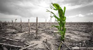 Asia Braces for 2026 El Nino Effect