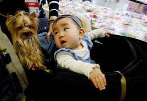 New Data Finds That Pets Outnumber Children in Taiwan