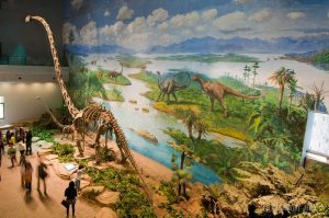 Asia's First Dinosaur Museum Reopens After Major Upgrade