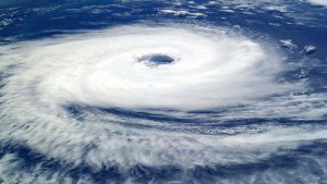 Shanghai Bakery Offers Free Food to Seniors Affected by Typhoon