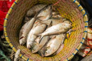 High School Hosts Fish Feast for Mid-Autumn Festival